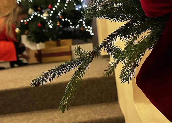 Zámecké Marlene Česká Kamenice