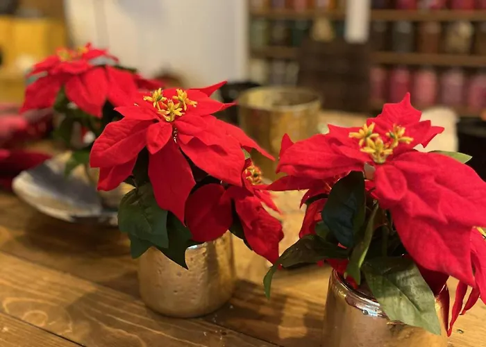 Apartman Zámecké Marlene